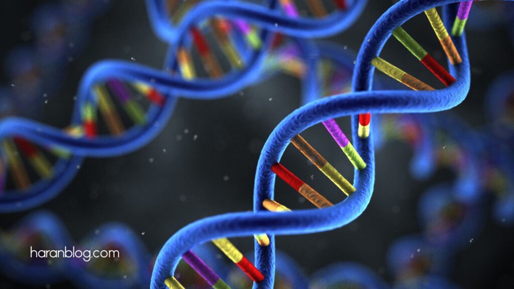 CRISPR DNA sequences